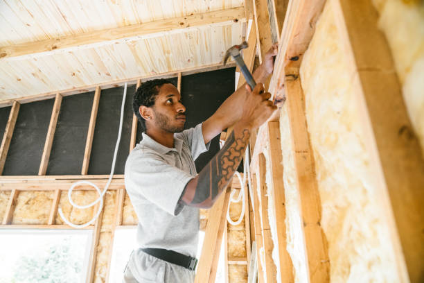 Best Attic Insulation Installation  in Woodson Terrace, MO